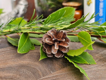 Load image into Gallery viewer, Bay and Rosemary