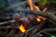 Load image into Gallery viewer, Botanical Wax Melt - Chestnut Embers