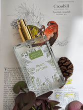 Load image into Gallery viewer, Scots Pine Cone