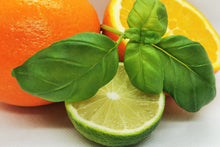 Load image into Gallery viewer, Handmade Candle - Lime, Basil and Mandarin