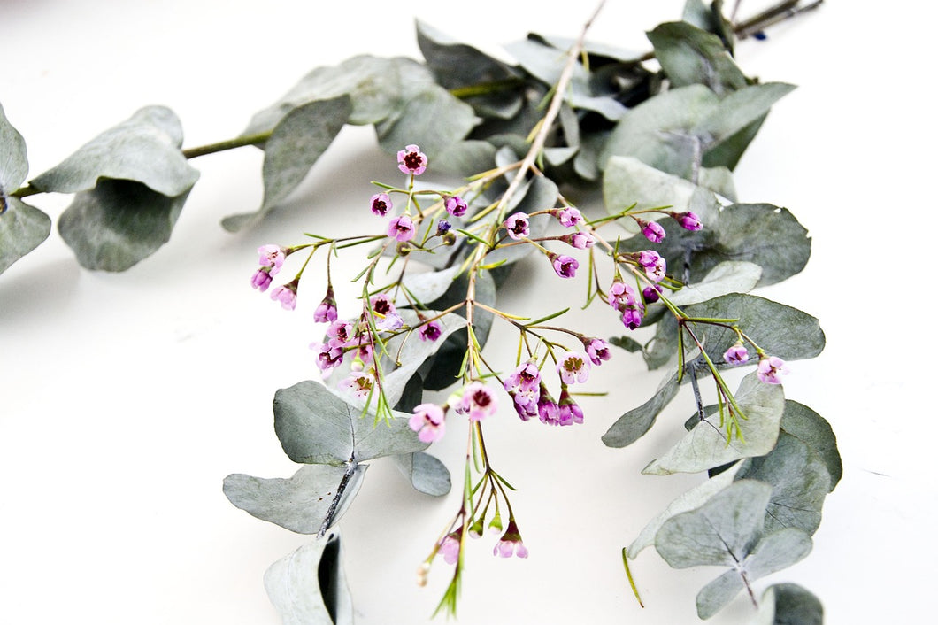 Botanical Wax Melt - Peppermint and Eucalyptus