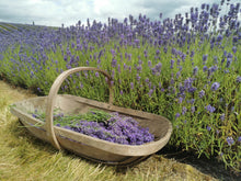 Load image into Gallery viewer, Botanical Wax Melt - Lavender and Neroli
