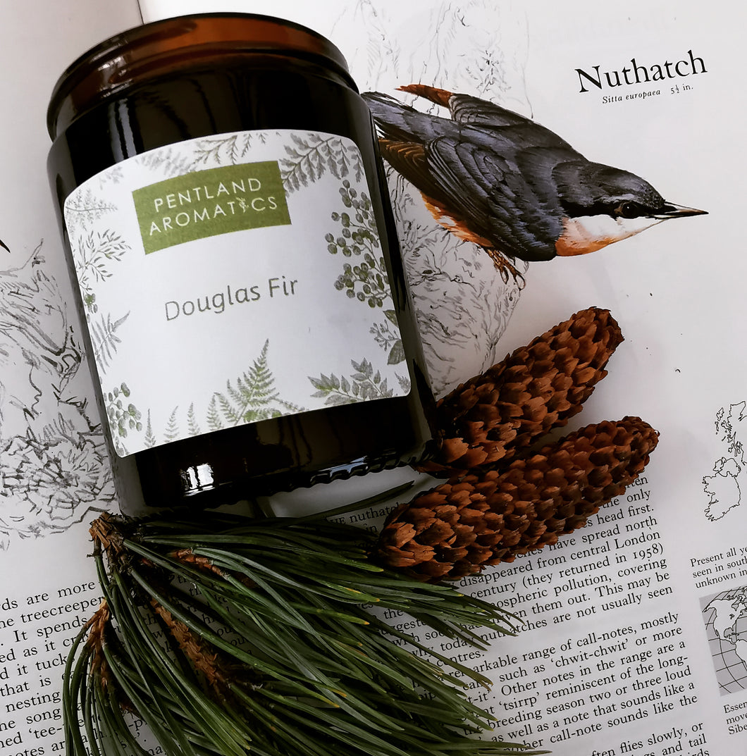 Caledonia Collection Candle - Douglas Fir
