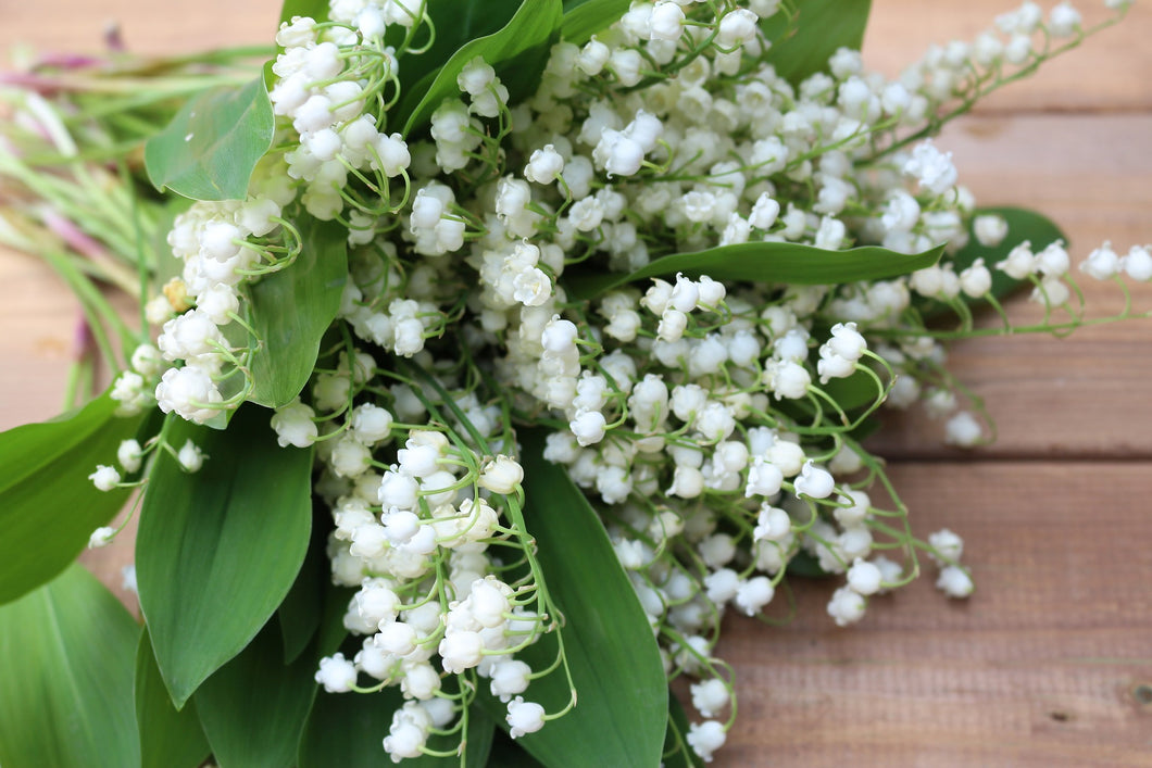 Handmade Candle - Lily of the Valley