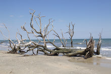 Load image into Gallery viewer, Handmade Candle - Rock Salt and Driftwood
