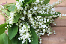 Load image into Gallery viewer, Handmade Room Perfume - Lily of the Valley
