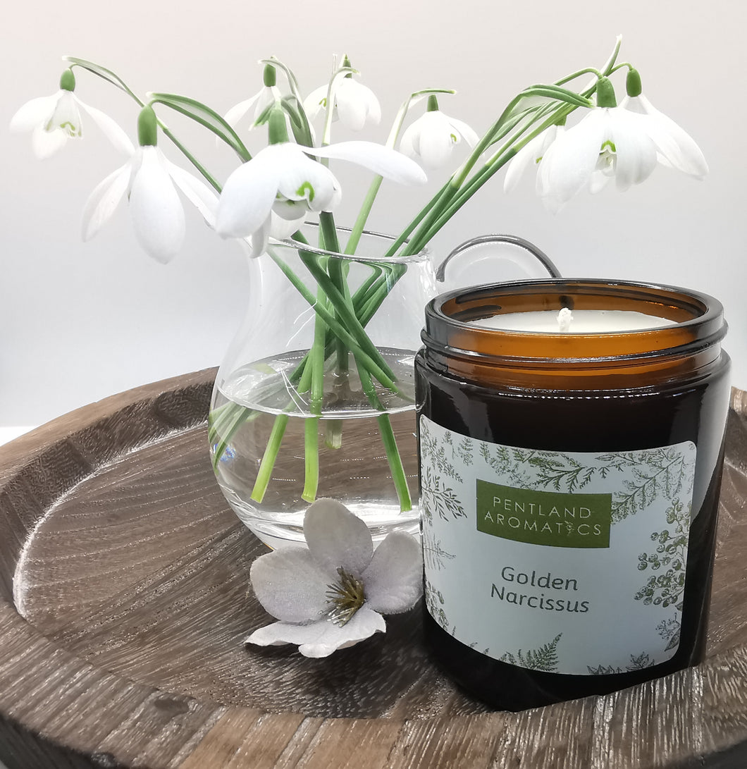Handmade Candle - Golden Narcissus