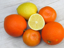 Load image into Gallery viewer, Soap Sponge - Mandarin and Lemon
