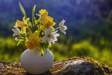 Load image into Gallery viewer, Handmade Candle - Golden Narcissus
