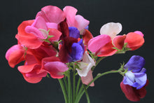 Load image into Gallery viewer, Handmade Candle - Sweet Pea
